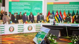 51810346869_38ba1679b6_b